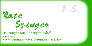mate szinger business card
